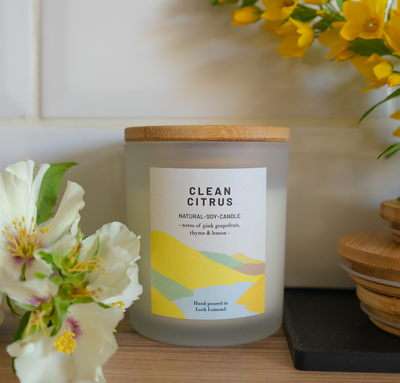 SALE Ocoee House Candle - Clean Citrus