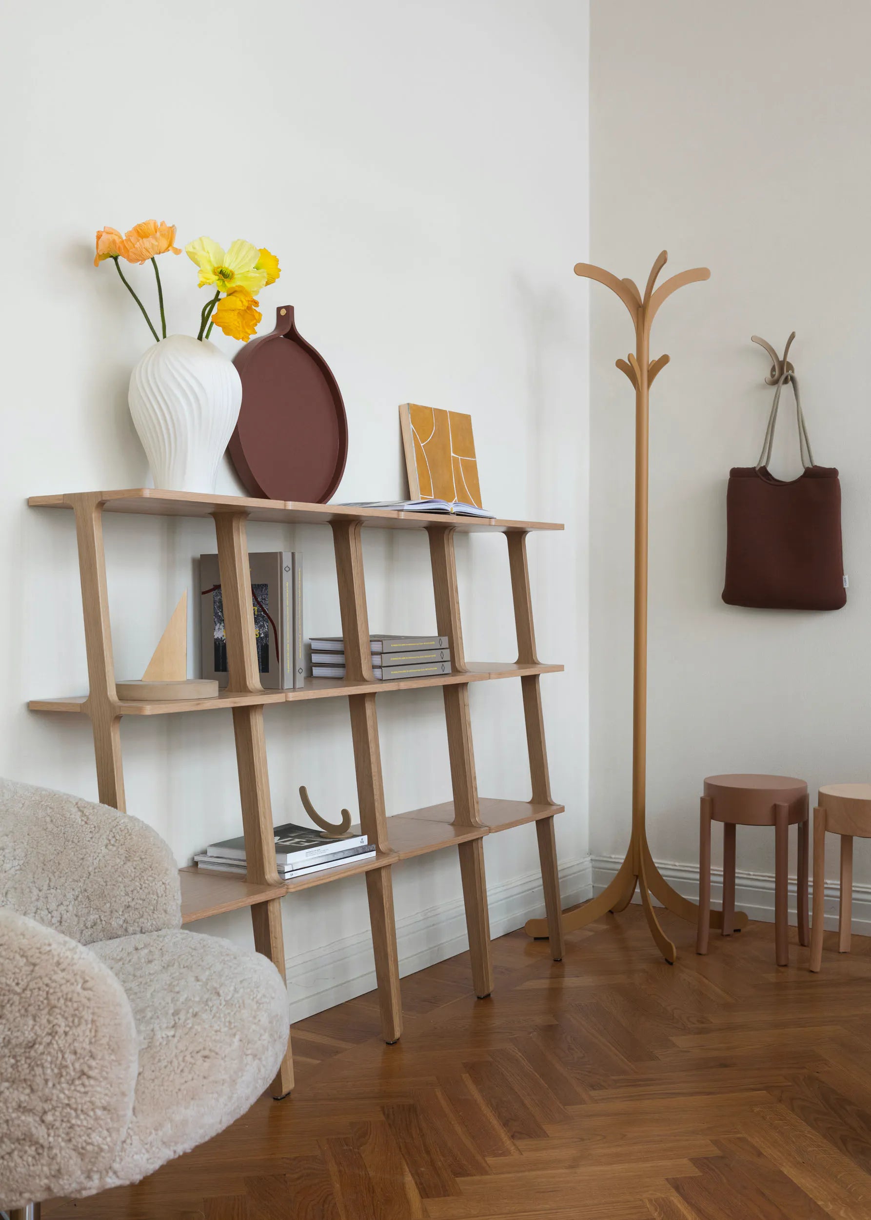 Libri Shelves S Dundas
