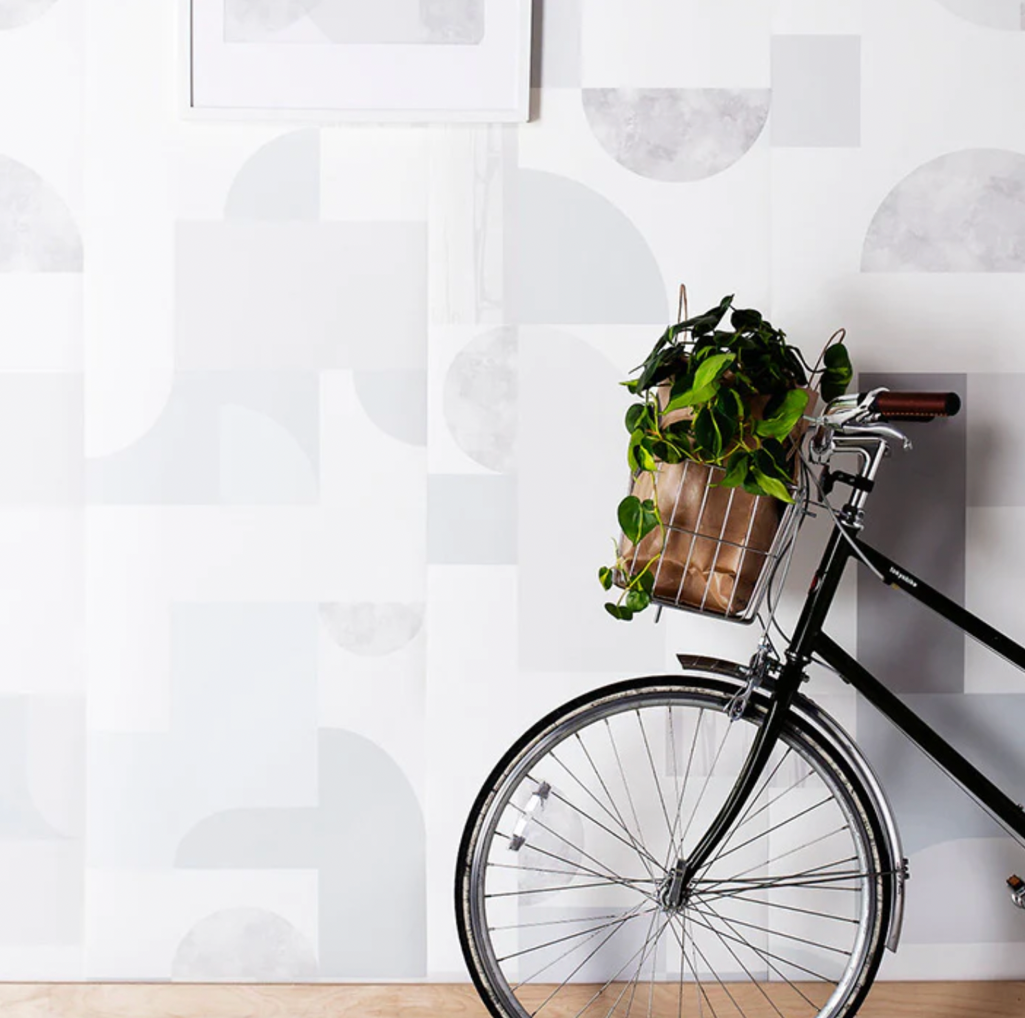 No Rules Halfmoon Wallpaper in Dusk