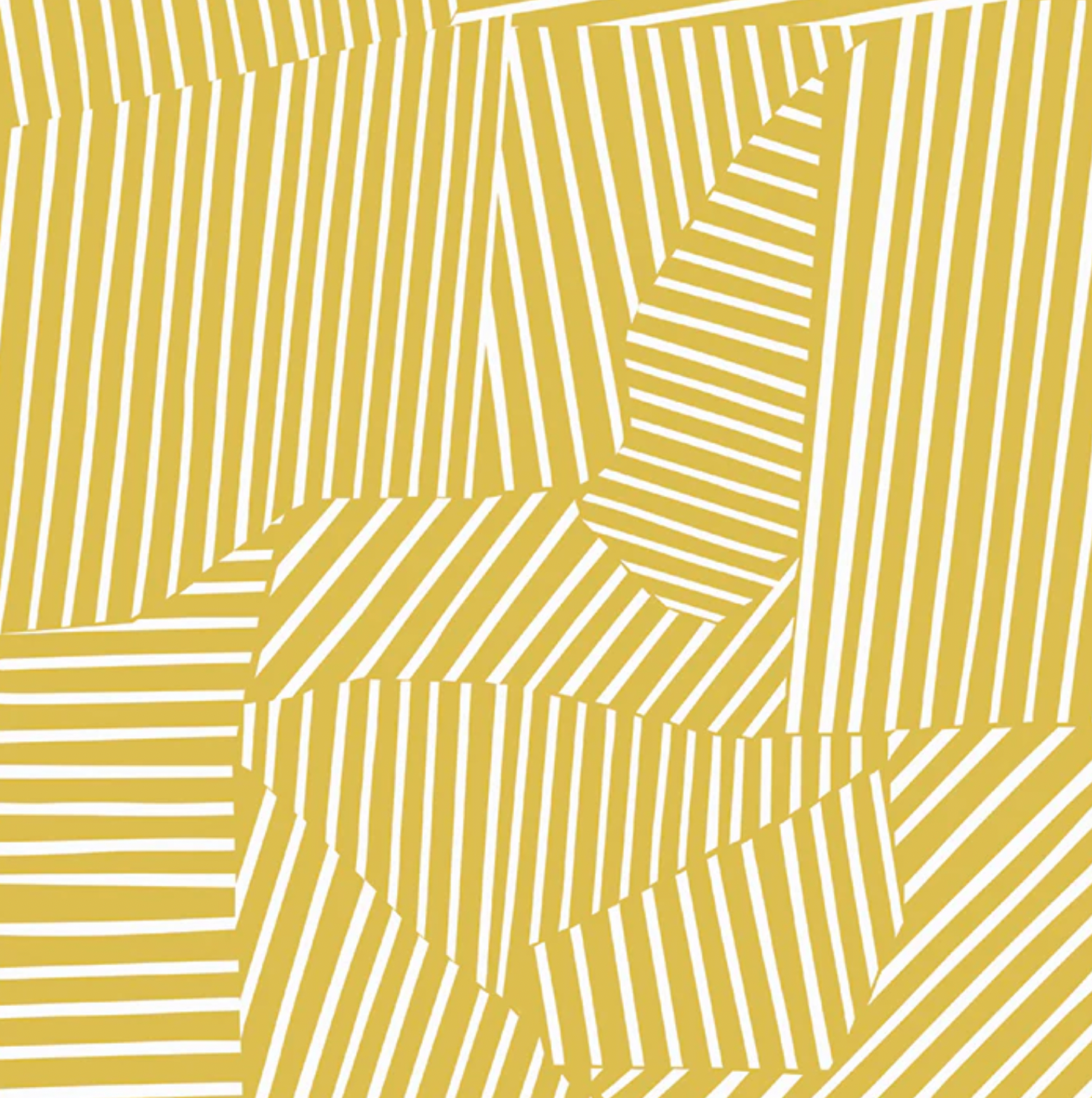 No Rules Aerial Wallpaper in Sunrise