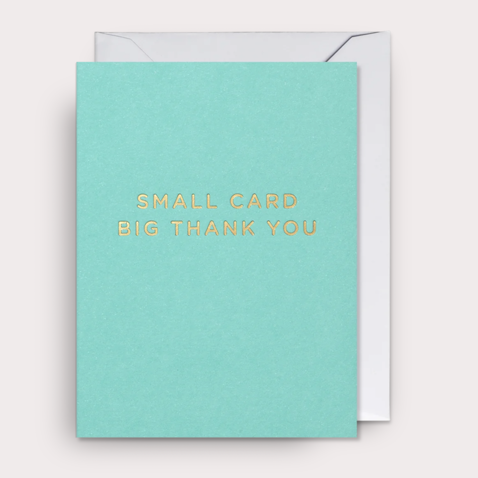 Small Card, Big Thank You Mini Card - 4037