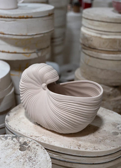 Seashell Pot