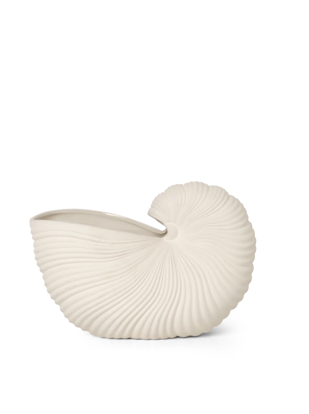 Shell Pot