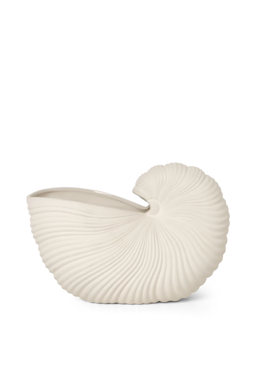 Shell Pot