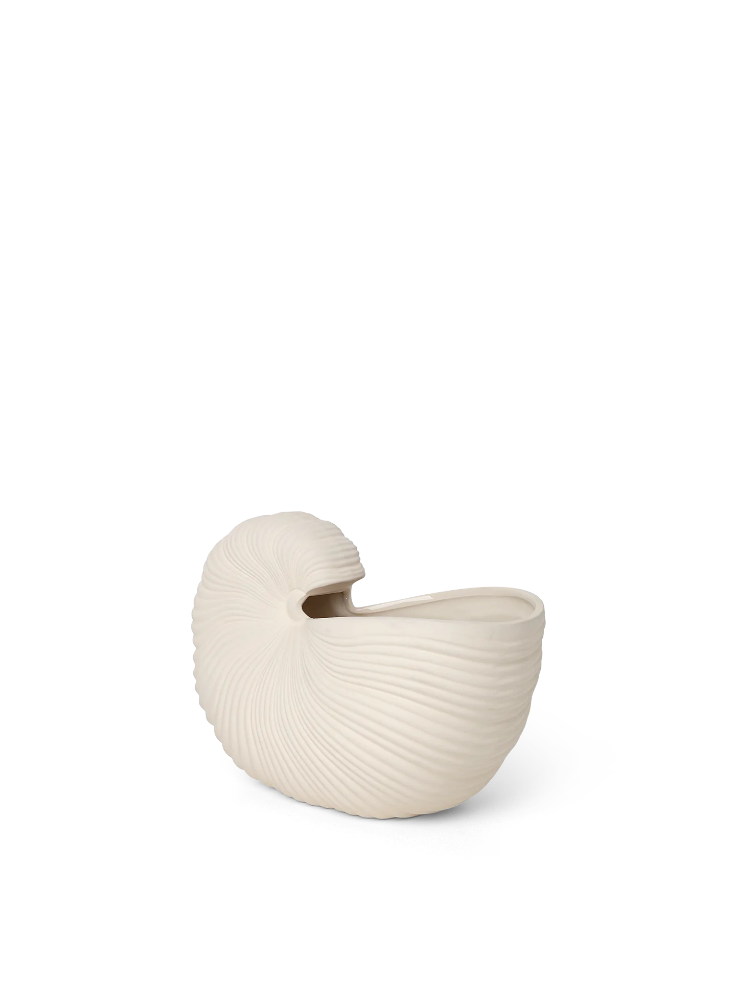 Shell Pot