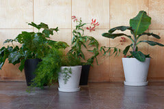 Flowerpot with Saucer Medium Grey