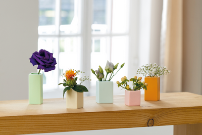 Mini Vases, set of 5