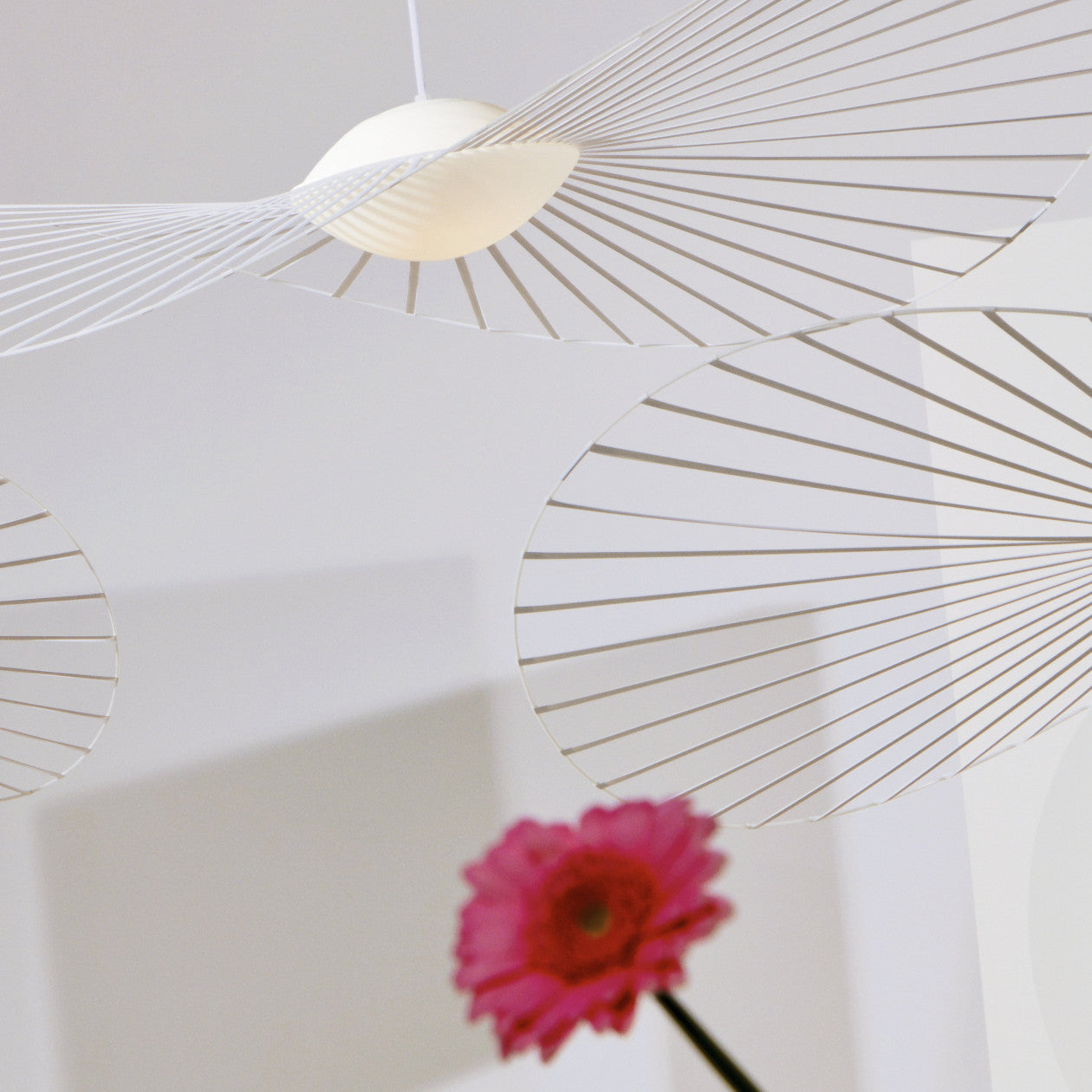 Vertigo Nova Pendant Lamp Small